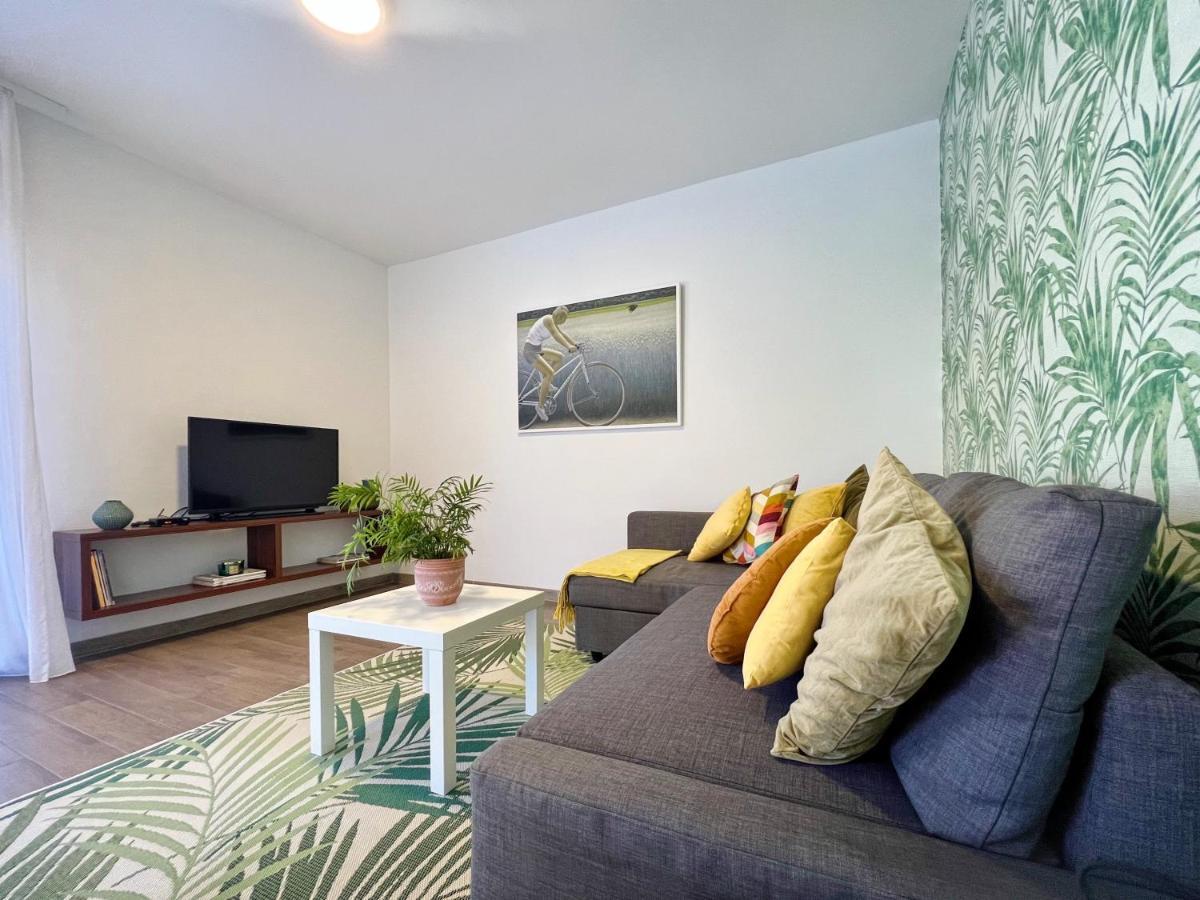 Apartments Teodora Maria Novigrad Istria Esterno foto