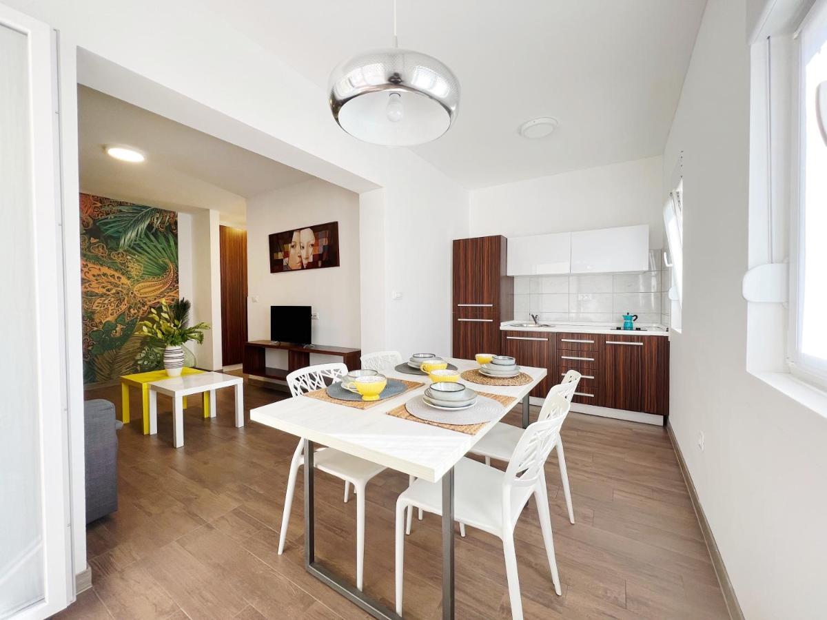 Apartments Teodora Maria Novigrad Istria Esterno foto